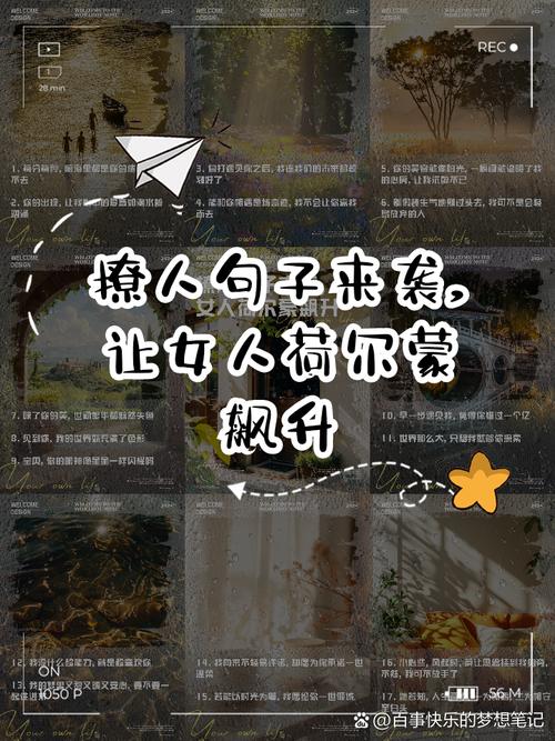 梦想与荷尔蒙的狂潮世界，哪个能让我沉醉其中？