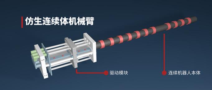 动作捕捉在丝驱动连续体机器人运动学研究中应用前景如何？