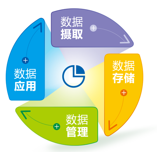 哪种数据库最适合构建和展示网页内容？