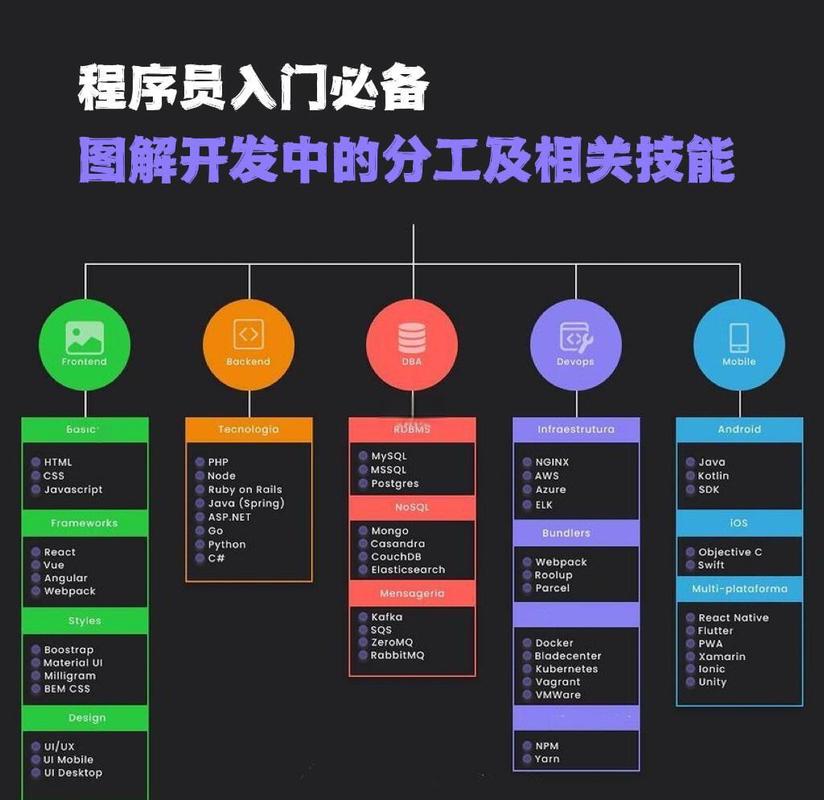 学习数据库开发需要掌握哪些具体技能或知识？