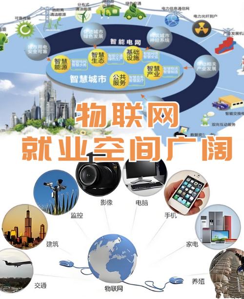 女生学习网络营销，如何把握未来就业先机？