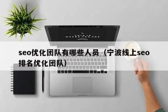 宁波SEO专家，你们有专业团队吗？是首选团队吗？