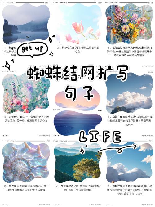 百度蜘蛛IP段揭秘，如何
为？
