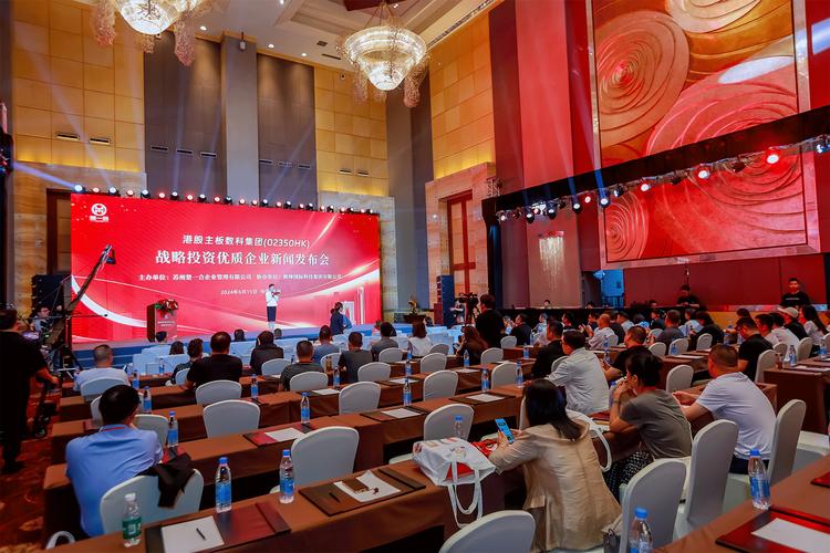 周口SEO专家宁晋优化领航者，哪家是真正的行业佼佼者呢？