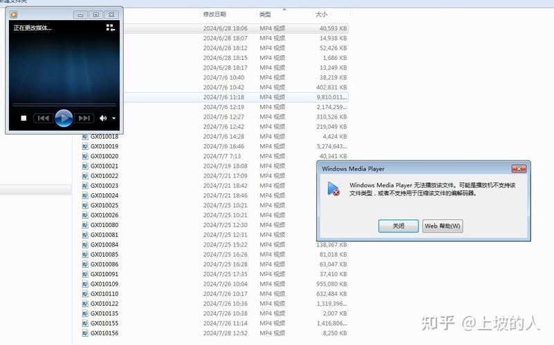 Windows Media Player无法播放哪些特定文件格式？