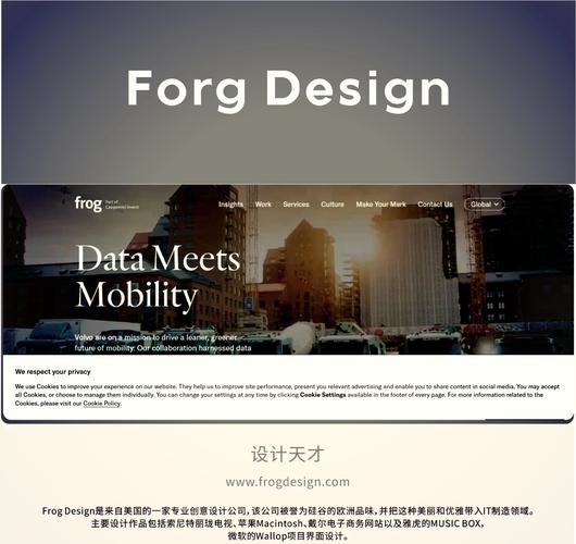 全球有哪些网站设计公司排名领先，能展现行业领军者的风采？