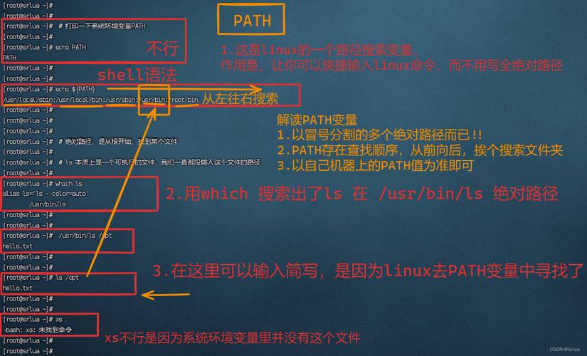 如何通过PHP执行Linux命令并详细掌握其执行过程？