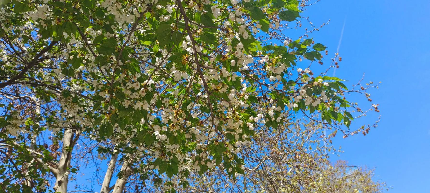 PHP开发者是否应该考虑将部分功能转向前端实现？