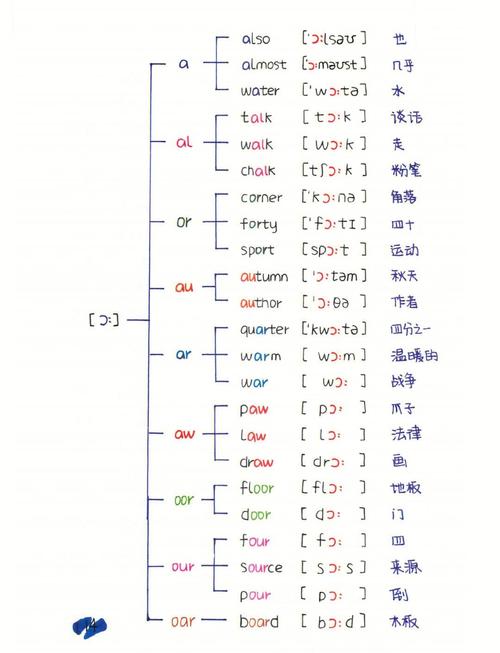 如何运用单词记忆技巧，提高词汇记忆效率？