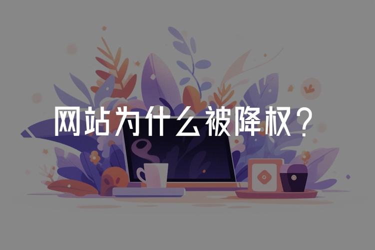 网站降权后搜索引擎的哪些惩罚信号可能揭示了其被降权的原因？