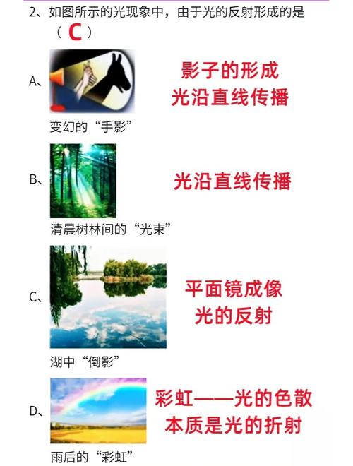 什么是导致物体表面光线返回的现象？