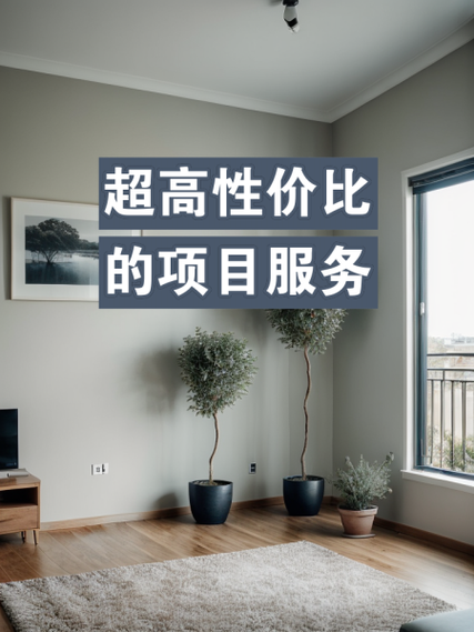 沈丘SEO优化，有没有性价比超高的选择呢？