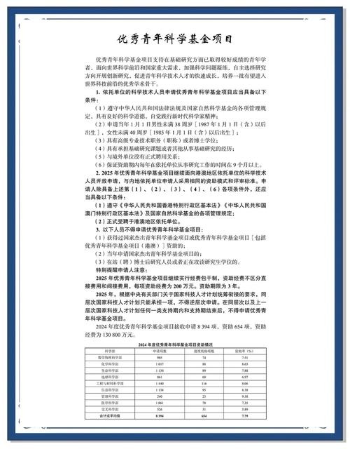 国内外项目有哪些显著区别，具体体现在哪些方面？