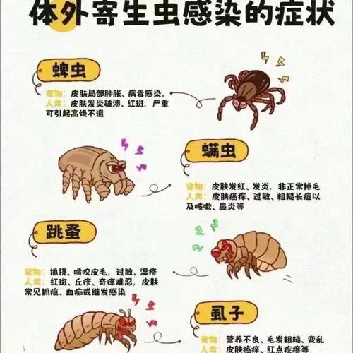 百度寄生虫排名背后真相是什么？揭秘流量密码的奥秘！