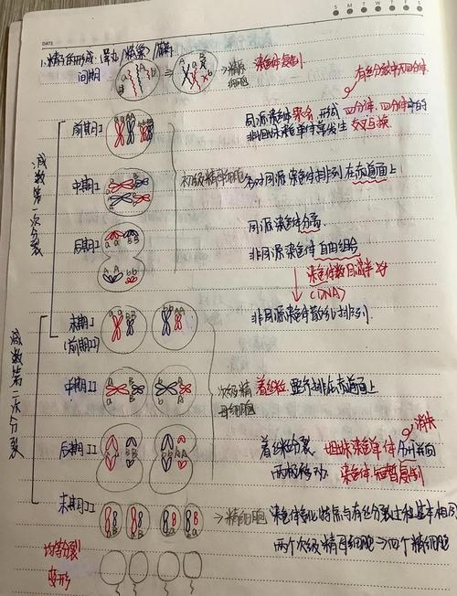 SICP第1.2.1至1.2.2节内容有哪些学习笔记？