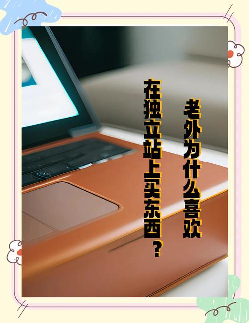 独立站真的有人购物吗？揭秘月省5万、流量暴涨的知乎大V案例？