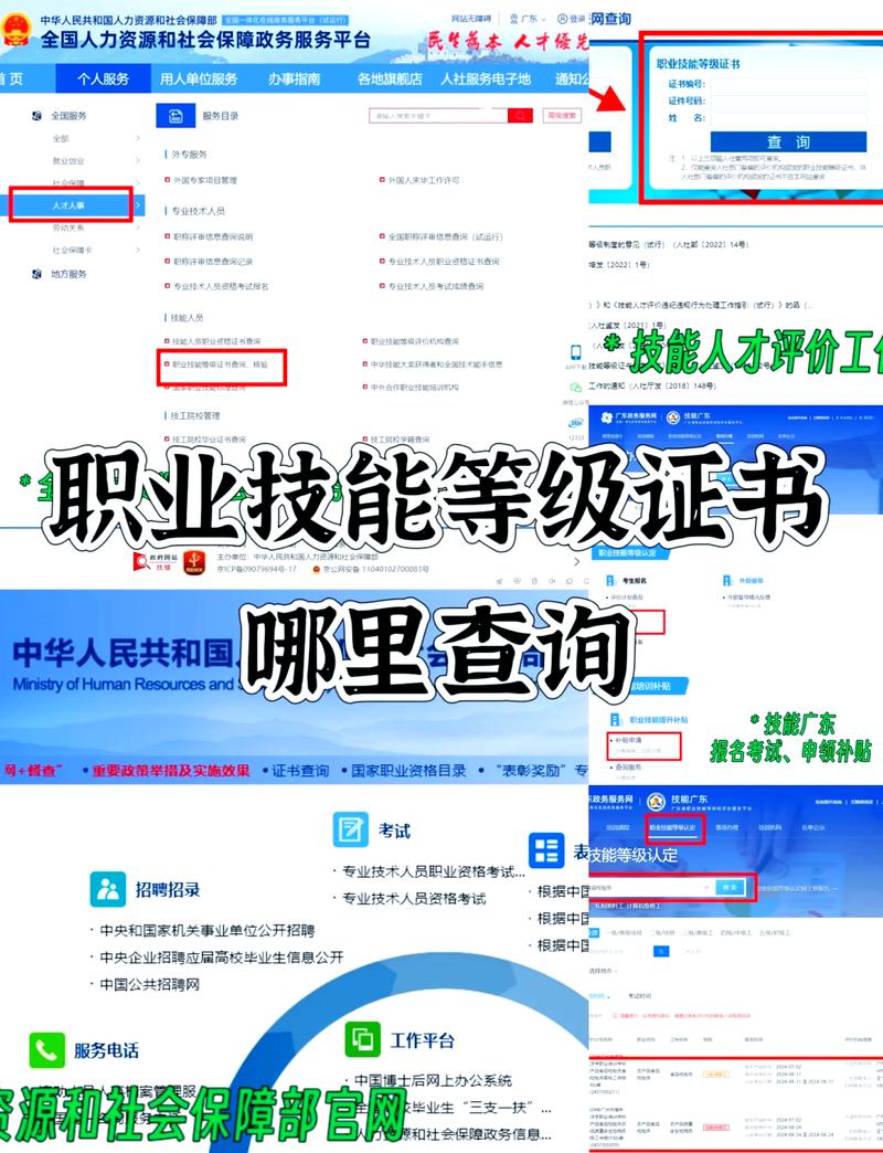 如何报名网站设计与建设专业技能证书，并找到相关学校汇总平台？