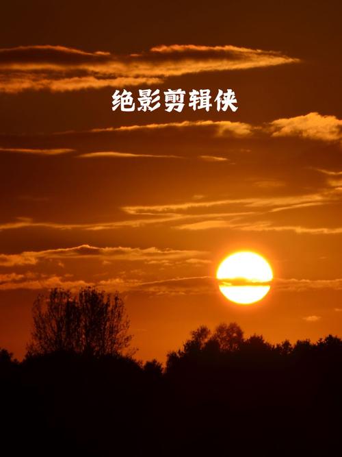 Video域名为何如此吸引人？揭秘其独特魅力！🎥