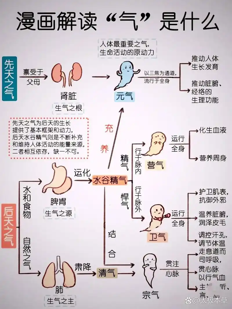 炼气期变量生命周期及作用域如何界定？