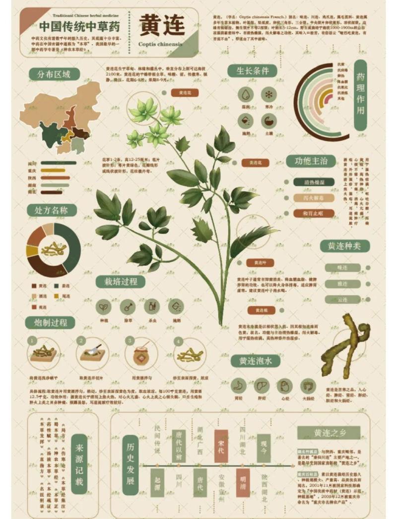 中药材主要成分数据库由哪些具体信息构成？
