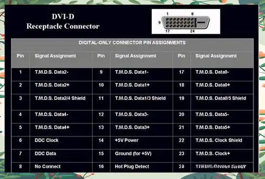 input接口指的是什么含义？