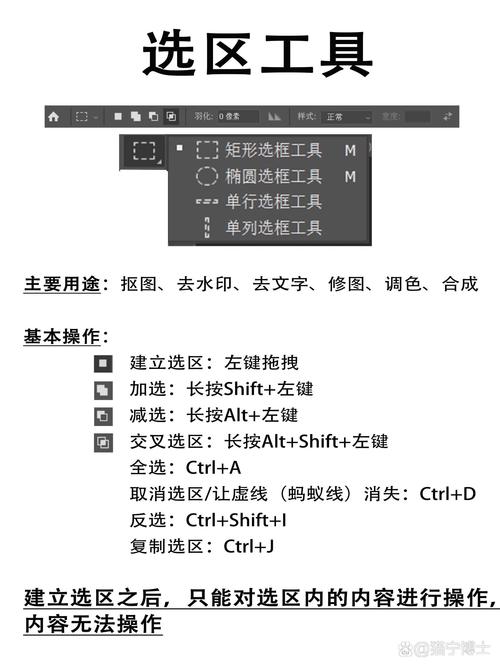 独立站设计非得用Photoshop吗？PS教程和图片处理工具选哪个好？