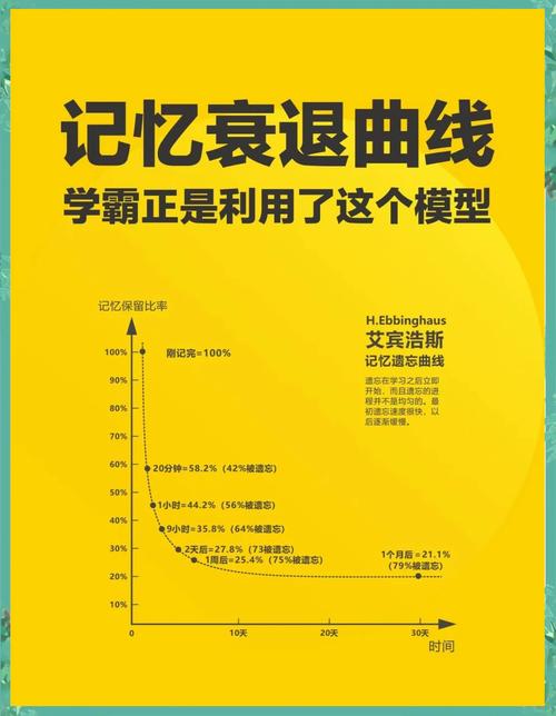 Bert手册5中，如何提升推理和训练速度，同时实现内存压缩？