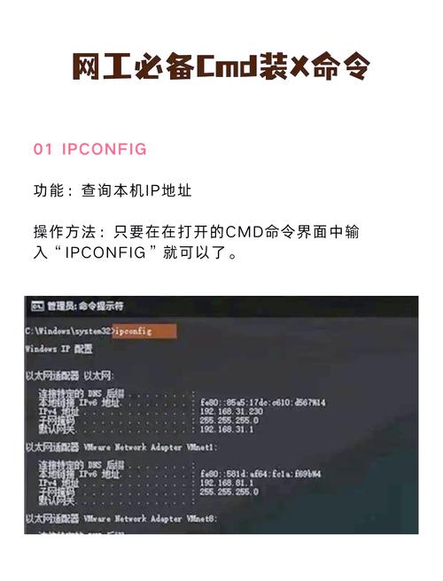 如何通过熟练掌握deluser命令，高效管理Ubuntu用户，显著提升系统安全防护能力？