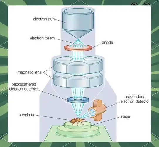 什么是SEM？进行SEM分析需要掌握哪些具体技术？