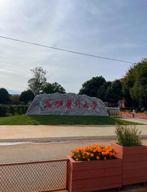 昆明医科大学真的值得考虑吗？别轻易决定来这所学校！