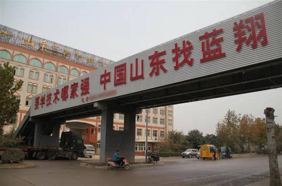 蓝翔技校传奇命运，被玩坏后究竟走向何方？