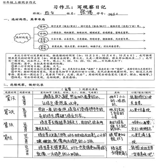 如何将博客焕新，点亮精彩内容？