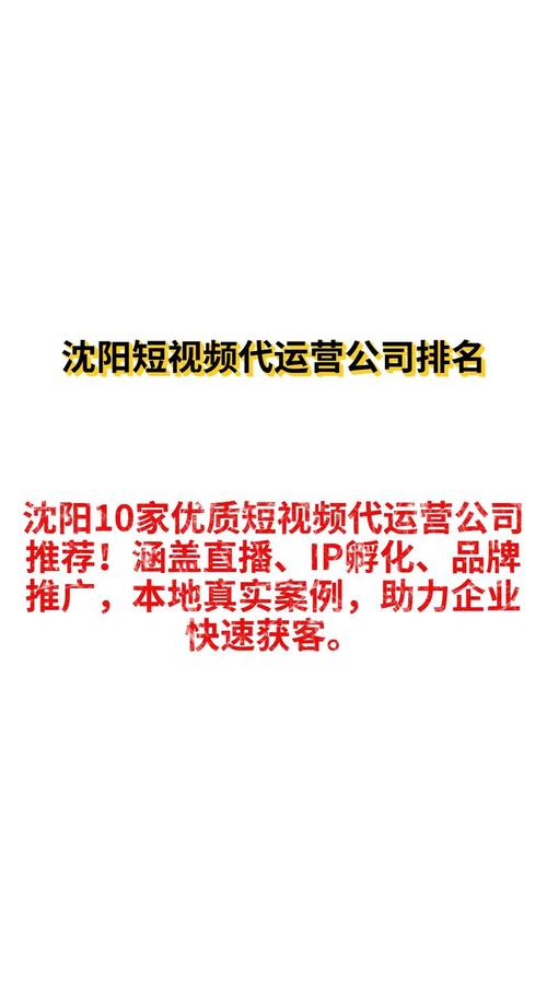 沈阳SEO优化专家哪家服务最专业？