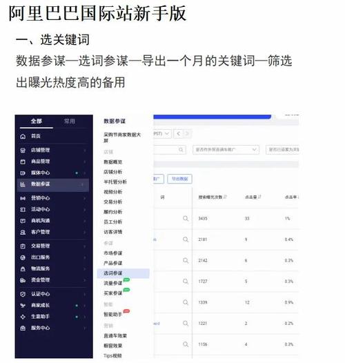 阿里巴巴独立站建站成本是多少？新手如何预算？与阿里平台成本对比？