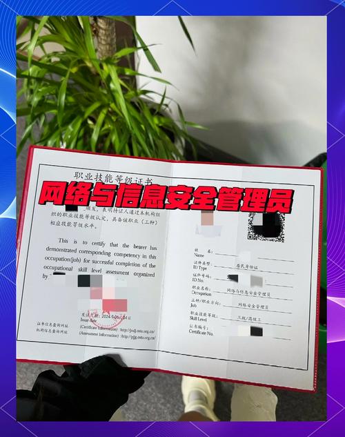 网站建设与管理专业证书包含哪些内容？其价值与意义如何体现？