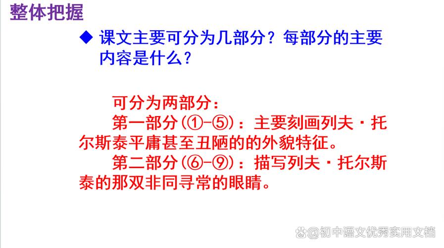 《C》这本书的作者有哪些主要观点？