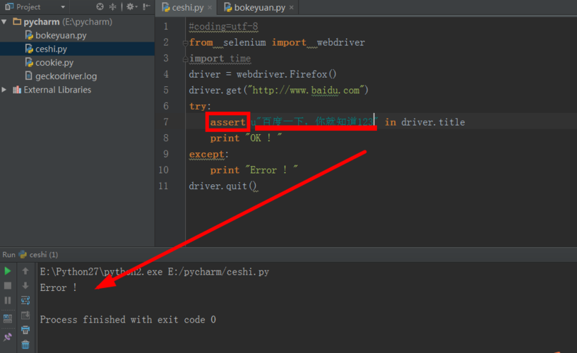 Python断言函数实例有哪些应用场景？