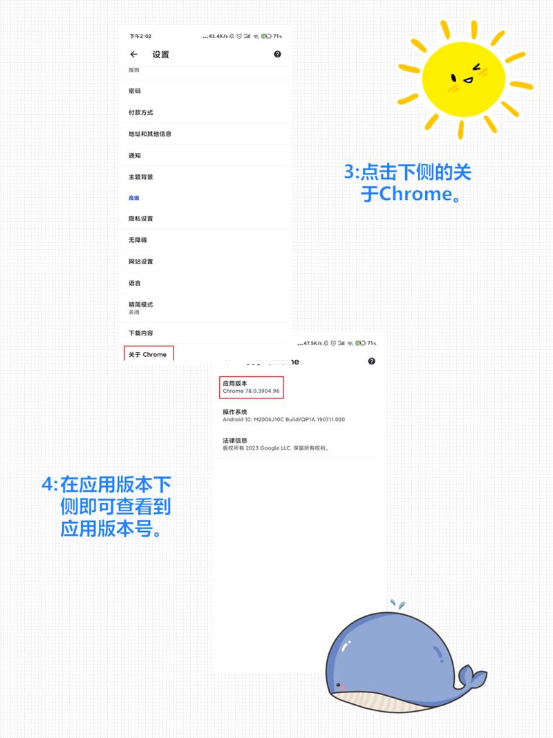 如何快速查询当前使用的Lua语言版本信息？
