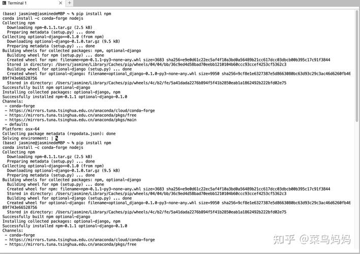 如何将JupyterNotebook运行Python代码的传参方式改写成长尾？