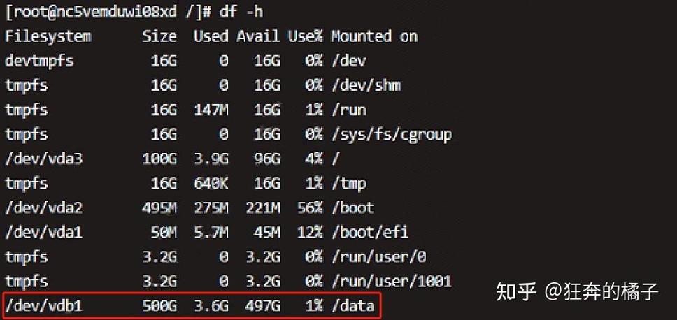 如何将Linux系统中的格式化磁盘进行挂载操作？