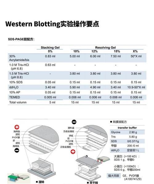 我第一次线下技术分享的经历是怎样的？