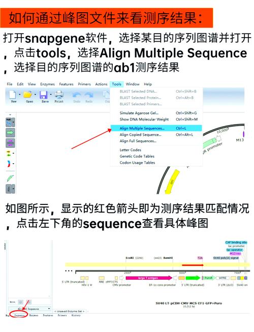 如何评估.Net core2.0中Log4net与Nlog日志组件在性能测试中的长尾词差异？