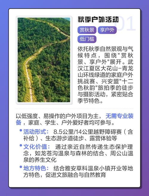 11月有哪些营销热点活动主题，本月有哪些不容错过的营销活动主题可以探索？