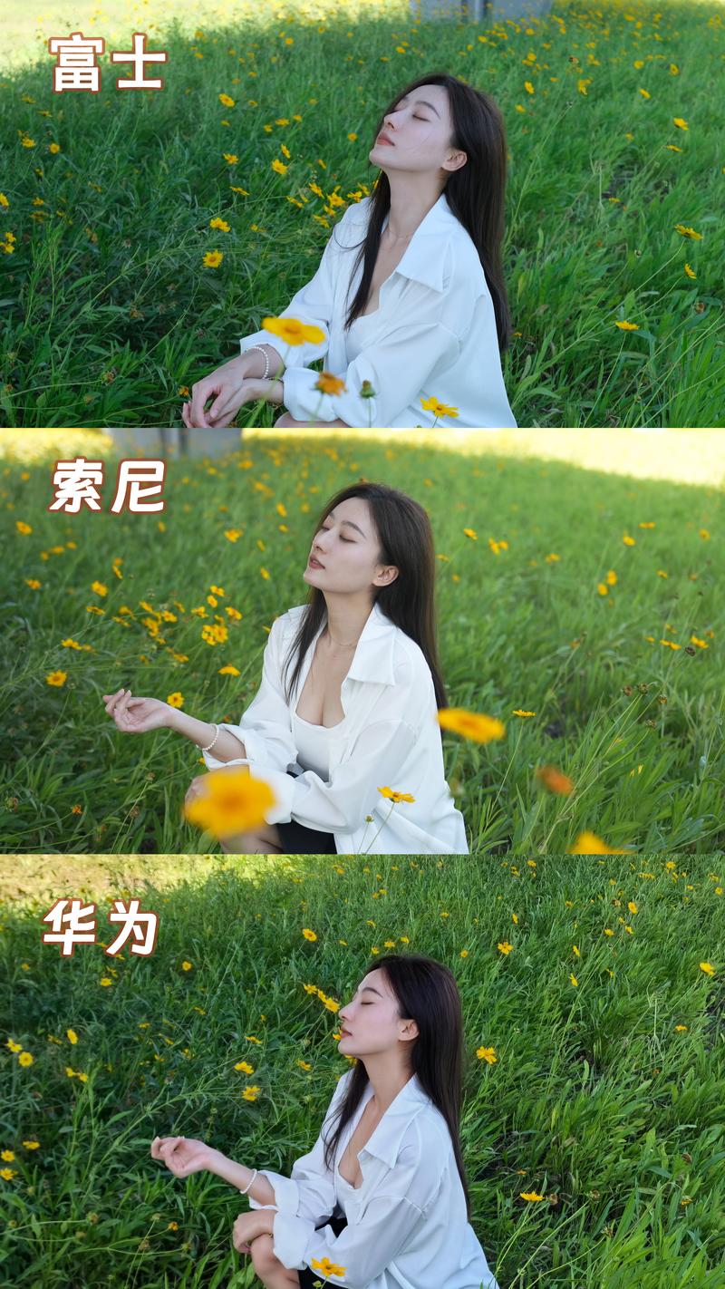 哪几款手机拍照效果最好，堪称拍照神器？