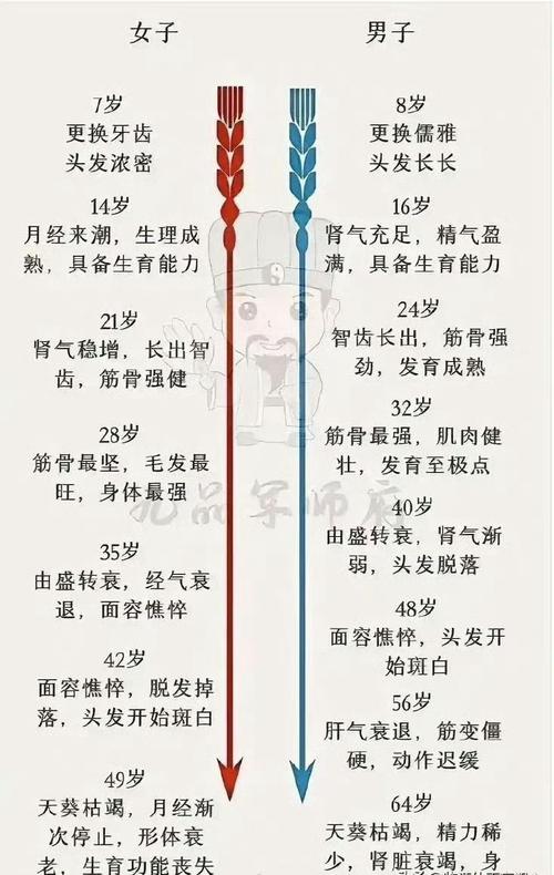 从出生到离世的生命历程是怎样的？