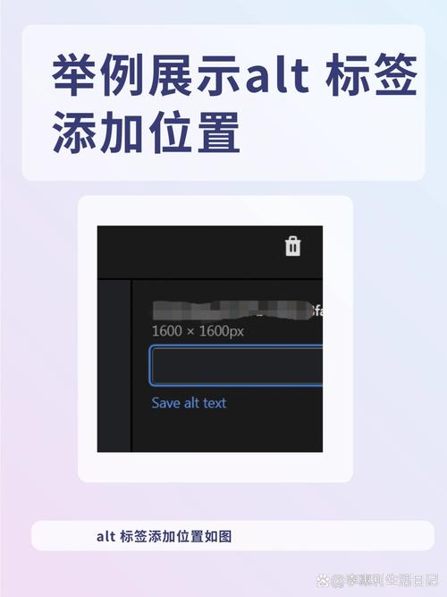 ALT标签是什么它在网页设计中具体有什么作用？