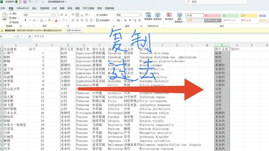 如何用PHP编写高效的数据去重和重复项处理长尾词算法？