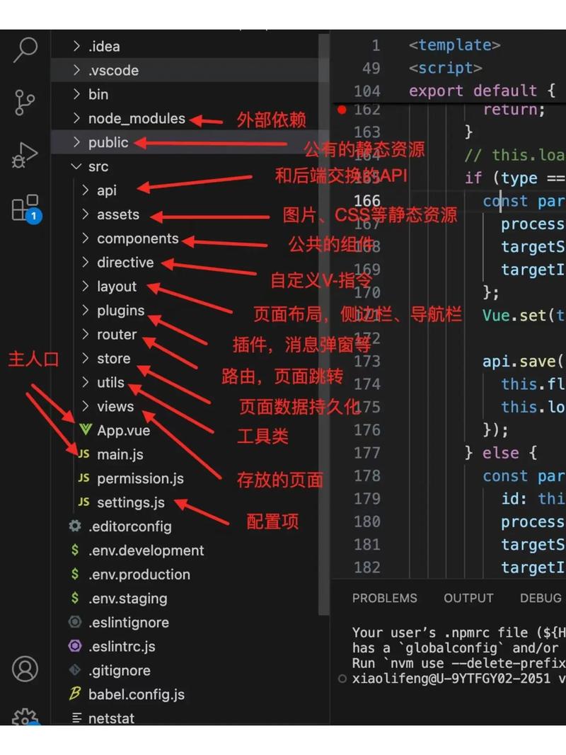 SpringBoot Vue开发中，如何实现Login校验规则、登录和重置功能？