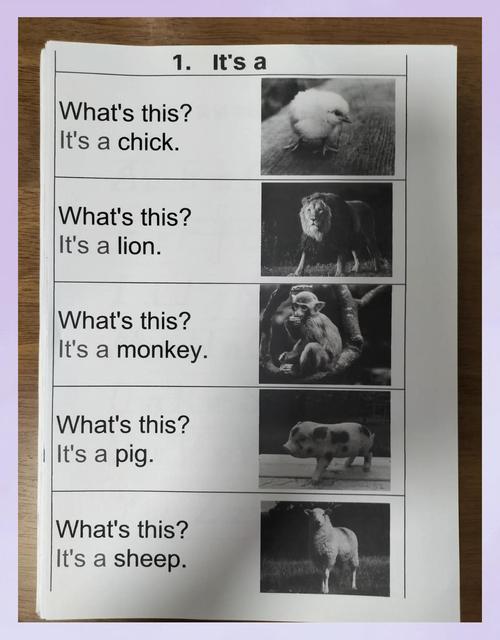 What is the meaning of C. Hexadecimal's Numbers?