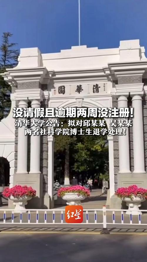 清华几位熟识的同学纷纷选择离职了吗？